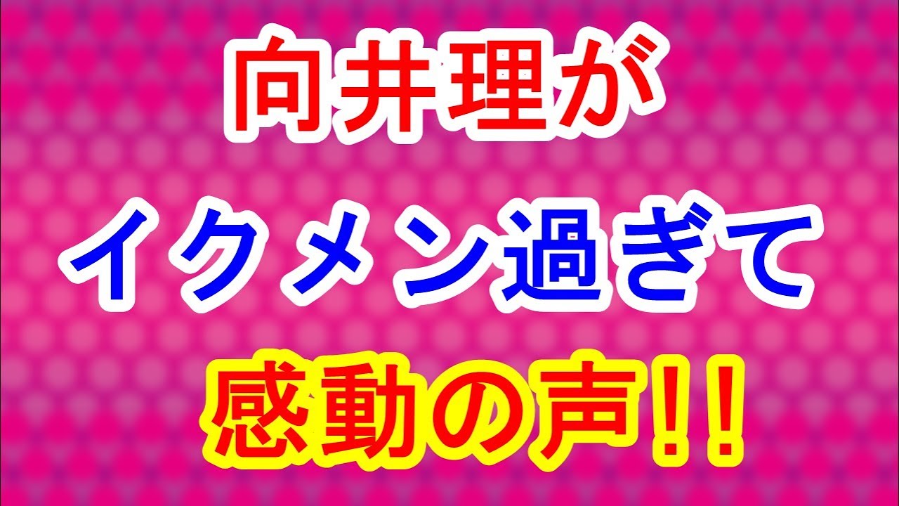 向井理がイクメン過ぎて感動!国仲涼子が羨ましい!