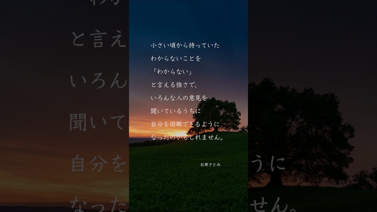 【1日1名言】石原さとみの名言②