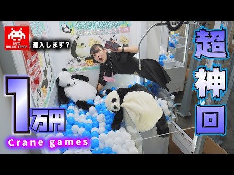 クレーンゲーム1万円【超神回】ついに夢叶いました!オンクレの現場に潜入【のえのん】