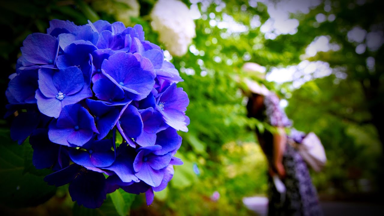 温泉Vlog 『優香苑』