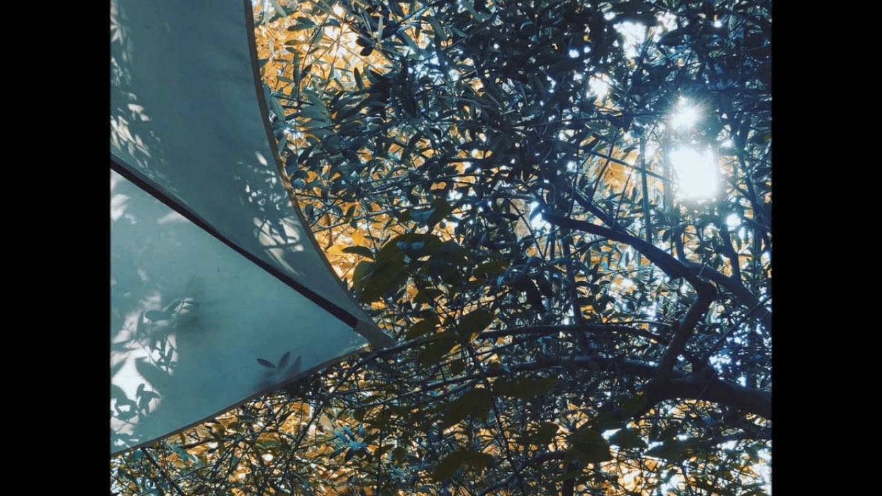 (ギター+歌カバー) くちなしの丘 / 原田知世/キセル – Nire ENOKI