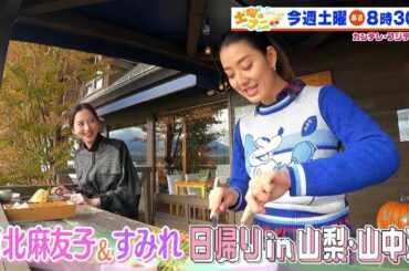 土曜はナニする!?11/13(土)放送【伊沢拓司が難問クイズに挑む!河北麻友子&すみれ山梨ぷらっとりっぷ】