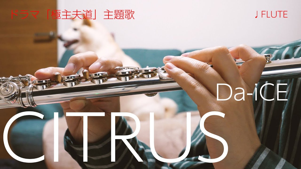 【フルート】CITRUS/Da-iCE ドラマ「極主夫道」主題歌【演奏してみた】FLUTE