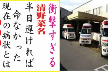 清野菜名の現在!現在の噂がヤバすぎる・・・