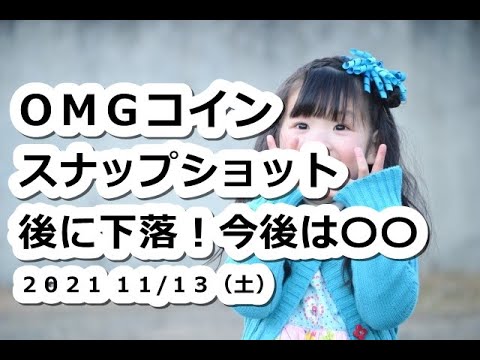 仮想通貨 OMGスナップショット後に暴落でオーマイガー!今が買いか?【11月13日】