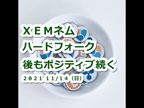 仮想通貨 XEMネム18~19日ハードフォーク予定!将来コインベースと〇〇で20円は安い?【11月14日】