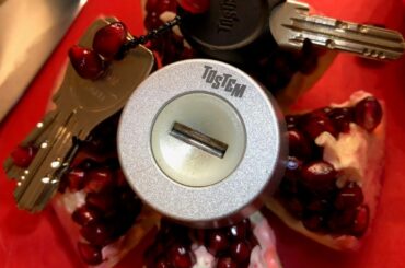 Tostem DN (Miwa PS) picked and almost gutted