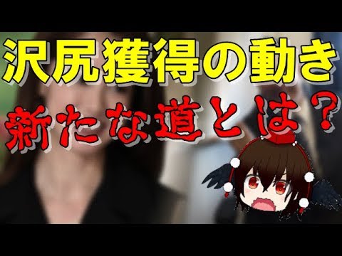 沢尻エリカに早くもオファーの動き!? NHK大河ドラマから発展した意外な可能性とは…【文々。新聞 外部出張所】