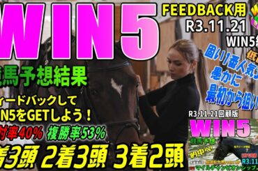 WIN5競馬予想結果 R3.11.21win5 マイルCS etc.WIN5FEEDBACK用【WIN5競馬LOVES】