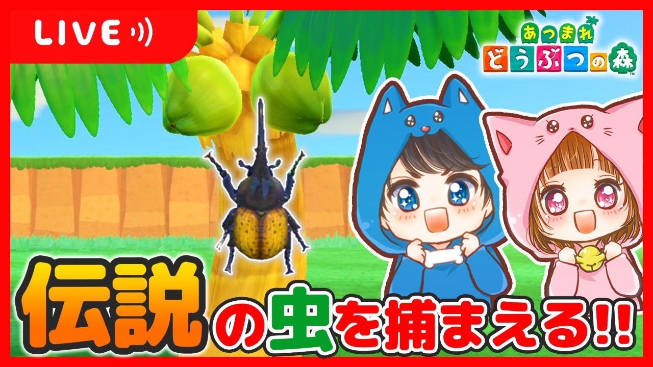 🔴夏休み企画!!伝説の虫を捕まえるぞ~!!🐶🐱🌼【あつ森/あつまれどうぶつの森】