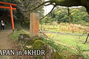 Yamanobe-no-michi from Miwa to Tenri・Old walking path in Nara・4K HDR