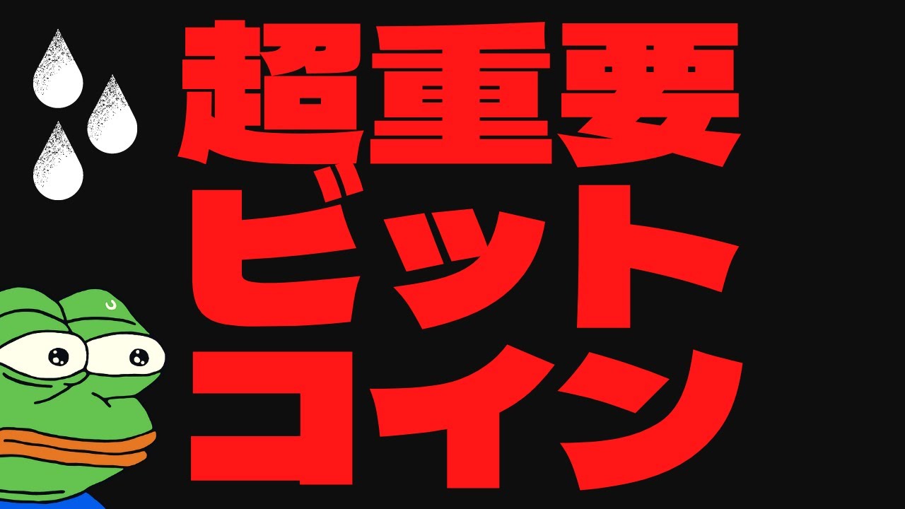 🚨超重要局面ビットコイン😅ビットコイン😂イーサリアム🥺リップル🚨💲インデックス解説🔥