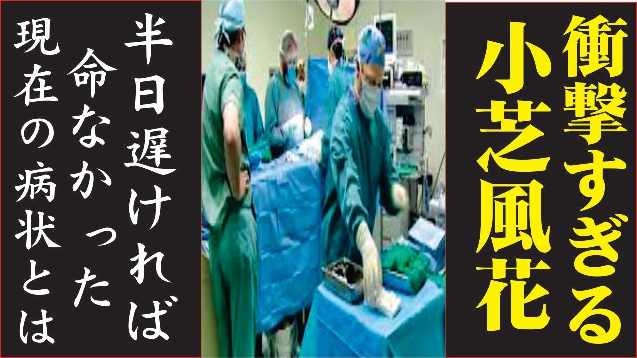 小芝風花の現在!今現在の様子がヤバすぎる・・・