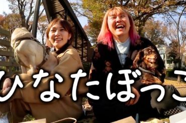 紅葉を見ながら冬のピクニック