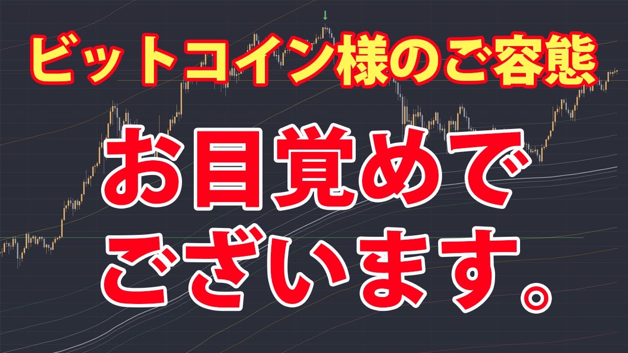 ビットコイン様はどうやらお目覚めのご様子。ロングしてます。