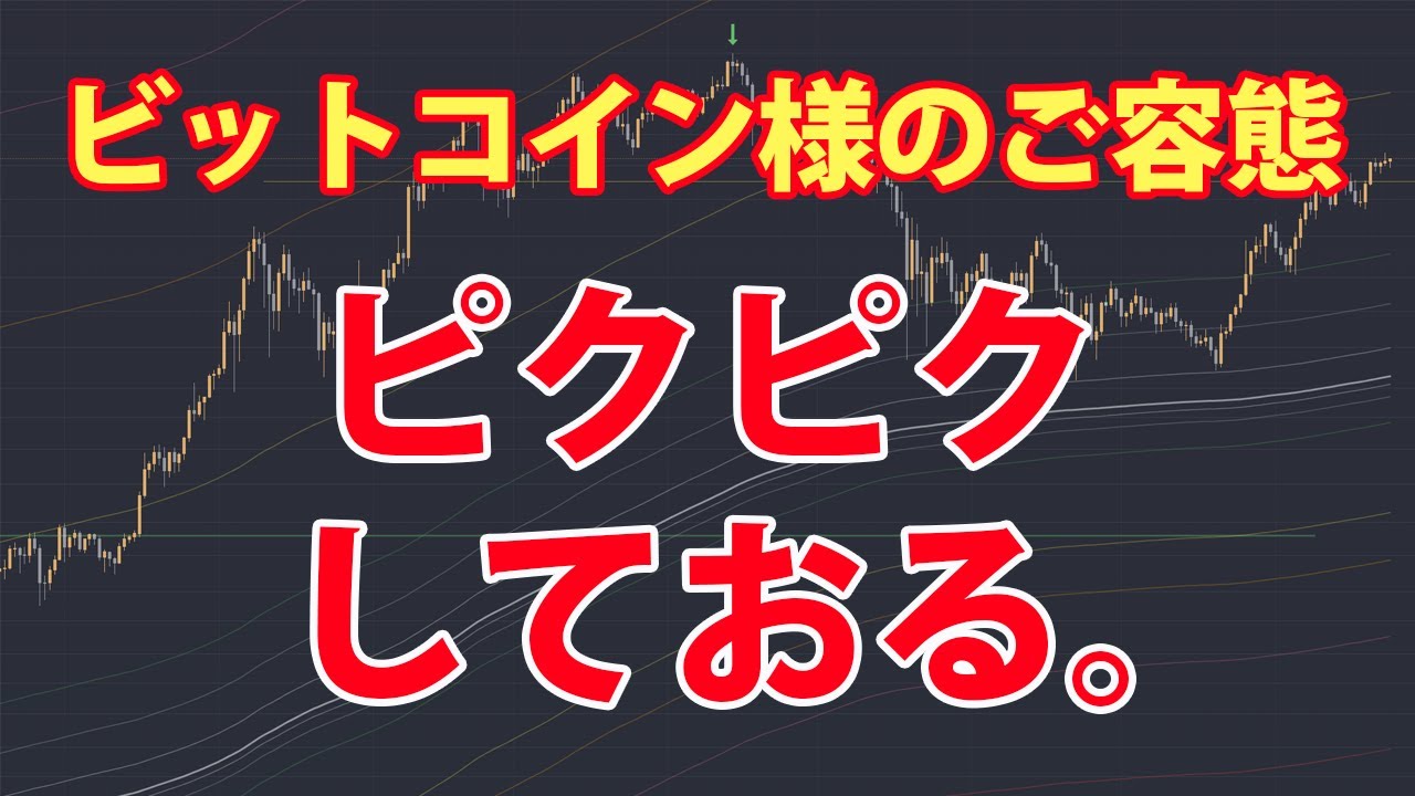 ビットコイン様のご容態 – 昨夜からぴくぴくしております。