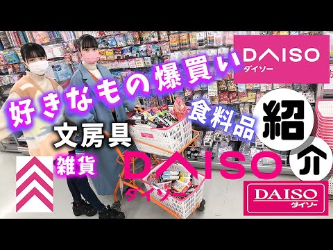 DAISO爆買い!姉妹で好きなもの大量(文房具・雑貨・食品…)【のえのん】