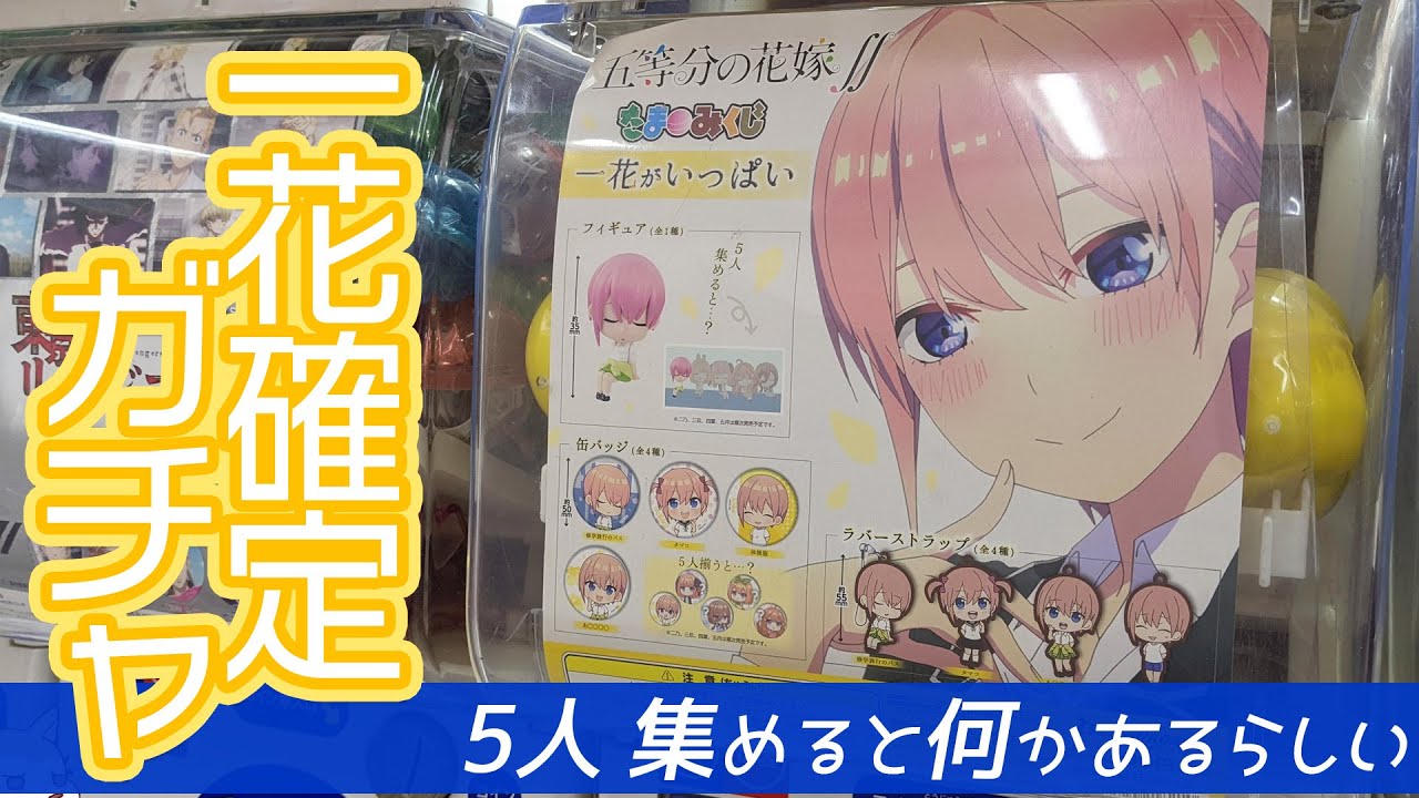 ガシャポンくじ風?フィギュアが当たる五等分の花嫁∬ たまみくじ 一花がいっぱいガチャ回してみた