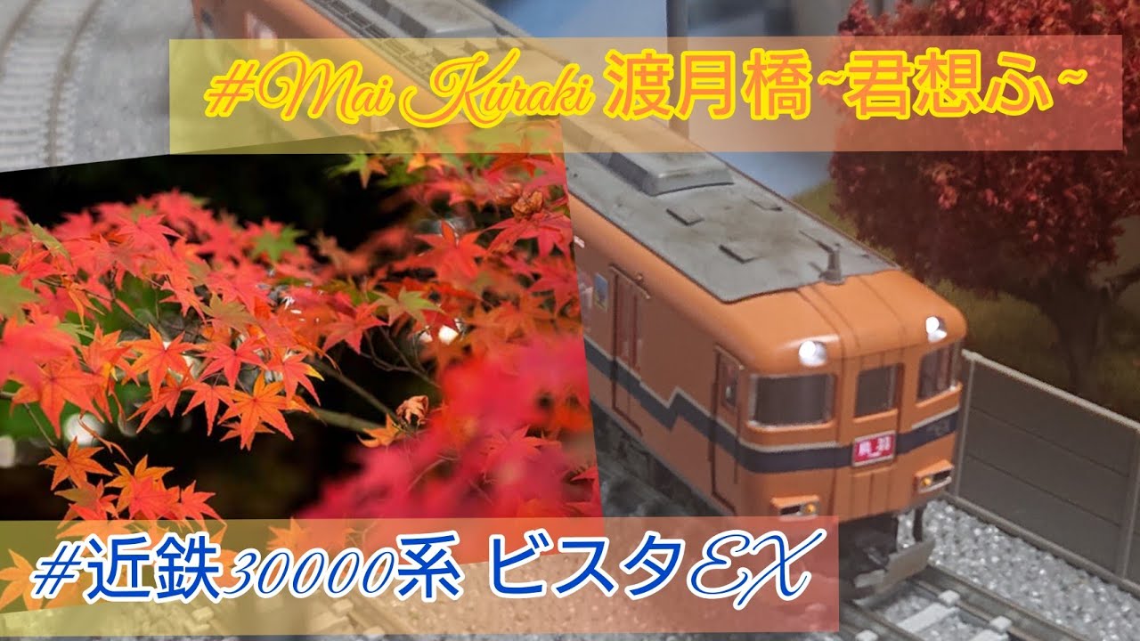 【#倉木麻衣】【#Nゲージ】【#近鉄30000系】近鉄30000系ビスタEX