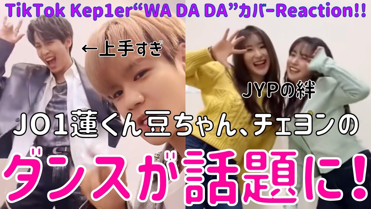 【話題】上手すぎる!JO1蓮くん豆ちゃんやチェヨンのKep1er “WA DA DA” ダンスが面白い!TikTok Dance Cover Reaction!!!