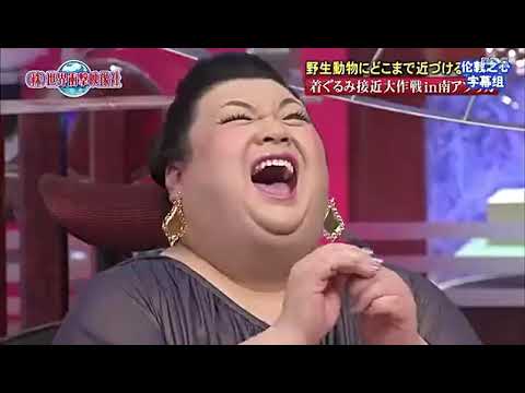 狩野英孝 動物着ぐるみ接近大作戦 Tkhunt
