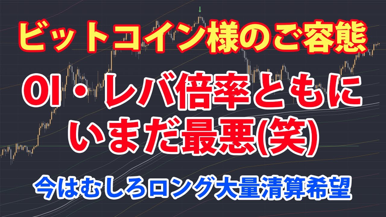 ビットコイン様のご容態 – ごく目先は少し弱気、だが今年前半はかなり強気