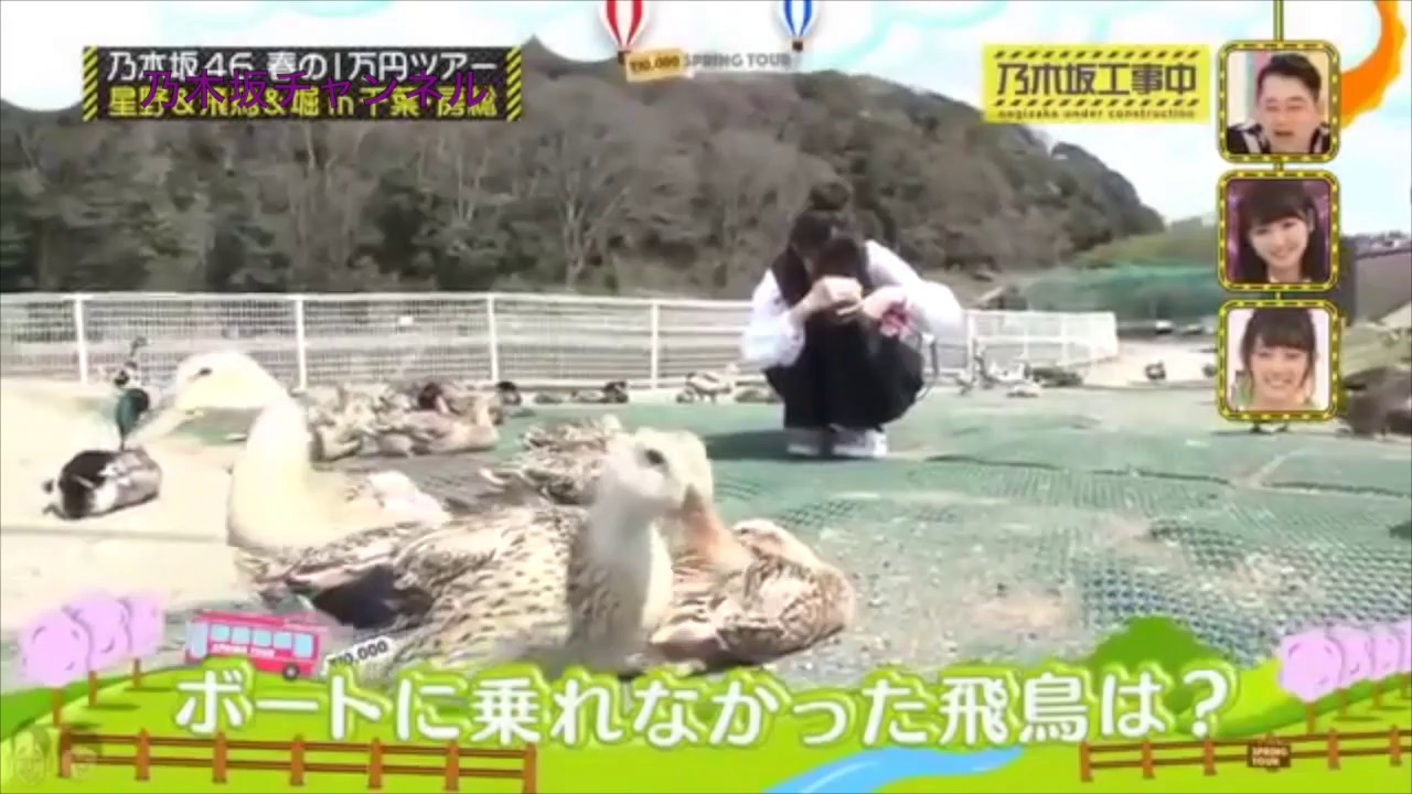 齋藤飛鳥 勝手にお金を使い鯉をあやつる!