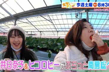 土曜はナニする!?1/22(土)放送【デヴィ夫人&トレエン斎藤がキッチングッズ体験!桜井日奈子&ヒコロヒー南房総へ!】