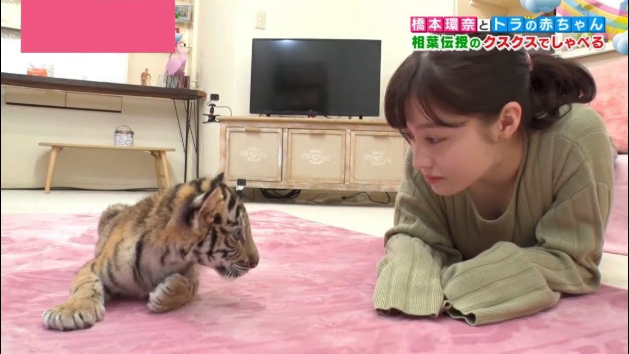 【橋本環奈】胸ちら【永久保存版】