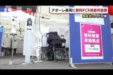 〈新型コロナ〉アオーレ長岡に“無料PCR検査所”設置 無症状の人が対象【新潟】 (22/02/08 19:04)