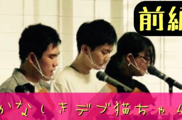 【朗読】かなしきデブ猫ちゃん(前編)