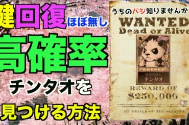 【セブンナイツ】チンタオを高確率で見つける方法!鍵消費もほとんど無し!スプリングクエスト闇深いな。