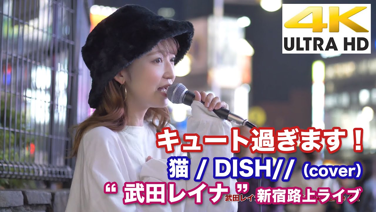 【4K】 キュート過ぎます! 猫 / DISH//(cover) " 武田レイナ " 2020.11.8 新宿路上ライブ 4K動画