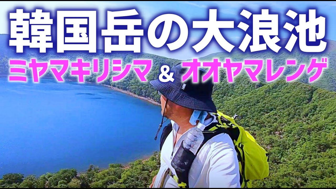 【韓国岳】大浪池へのショートカット登山口は使える?【ミヤマキリシマ&オオヤマレンゲ】