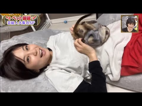 『ダウンタウン』高島礼子がネコ愛でまさかの台所暮らし