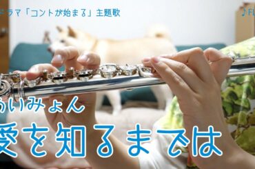 【フルート】愛を知るまでは/あいみょん ドラマ「コントが始まる」主題歌【演奏してみた】FLUTE