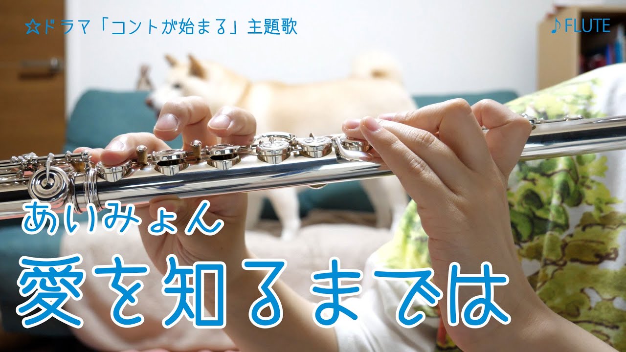 【フルート】愛を知るまでは/あいみょん ドラマ「コントが始まる」主題歌【演奏してみた】FLUTE