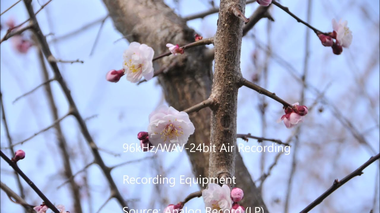 いつでも夢を 橋幸夫/吉永小百合 1-Track in LP 2022.3.15