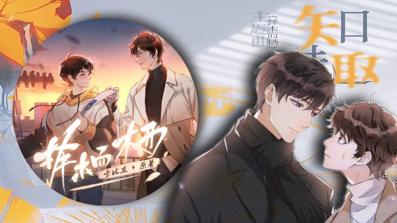 择木而栖 【Ze Mu Er Qi / Choose Wood and Dwell】: 主题曲《知趣》