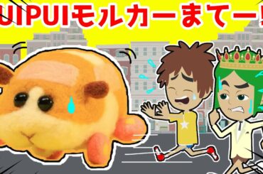 【アニメ】PUI PUIモルカーがテレビから出てきて大暴走!ポテトのモルミッションは?はたらくくるまのパトカーやスーパーカーで追跡開始!無事にテレビの世界に戻すことができるのか・・?
