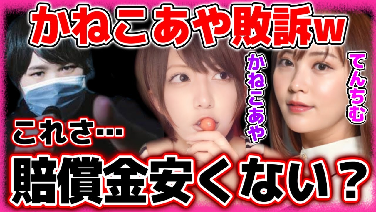 てんちむ・かねこあやの裁判終了…嘘をつきまくっていたかねこあやへの賠償金が公開される【2022/03/31】