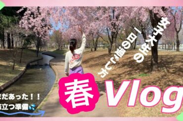 【留学まであと20日】春を感じた大学生の一日の過ごし方~旅立つ準備もまだまだだ~  (ft. 留学中の免許更新、ワクチン接種証明書、映画)