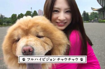 北川景子 SONY Cyber-shot WX5 「亜細亜旅行篇」30秒ver