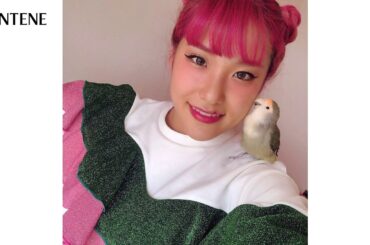 有村架純・今田美桜・りゅうちぇる・黒柳徹子らが「#部屋WeGo」|パンテーン
