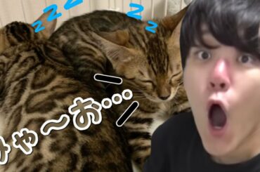 配信初の『りおくん?・れあちゃん?』の寝言が入る【2022/04/14】