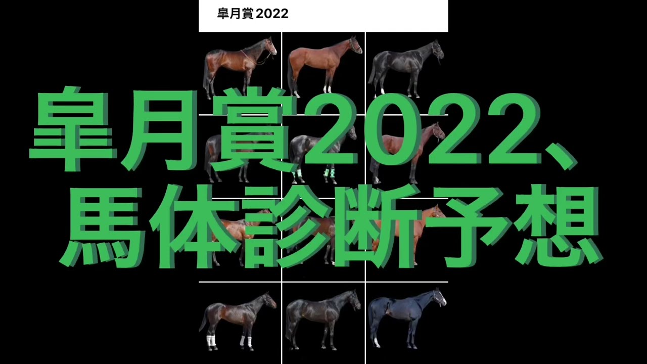 【皐月賞】【2022年】究極の仕上り🐎?馬体診断予想【競馬】【予想】【フォトパドック】