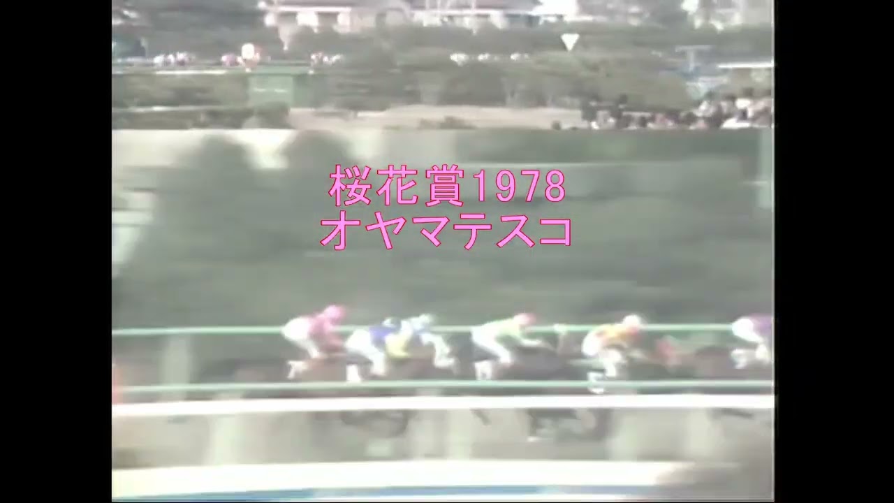桜花賞1973~1982ダイジェスト(テスコガビー、ハギノトップレディー、ニットウチドリ)