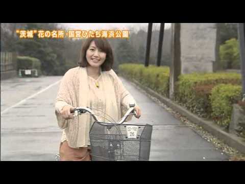 磯山さやかの旬刊!いばらき『ネモフィラ』(24年5月4日放送)