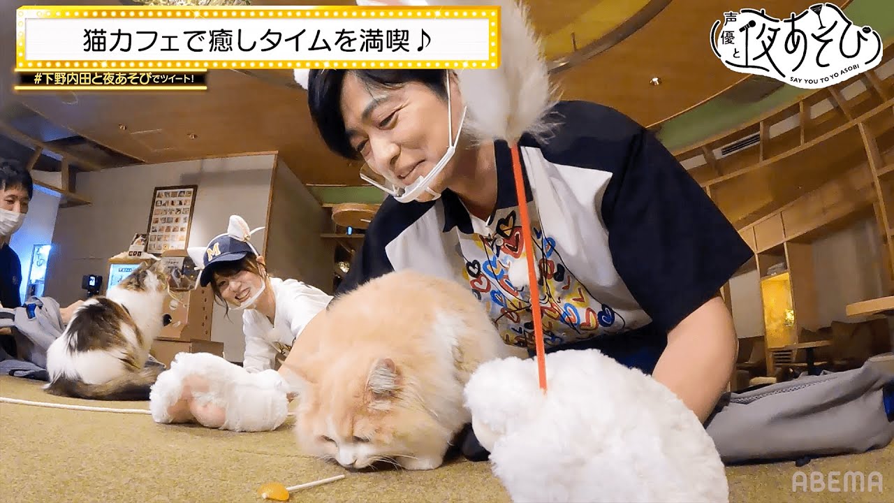可愛すぎて"ネコなで"声に!?💕🐈日本最大級の猫カフェで癒しコンビが癒されまくり✨|声優と夜あそび2022 ウォーカーズ【下野紘 × 内田真礼】#5 毎週土曜よる9時から放送中!