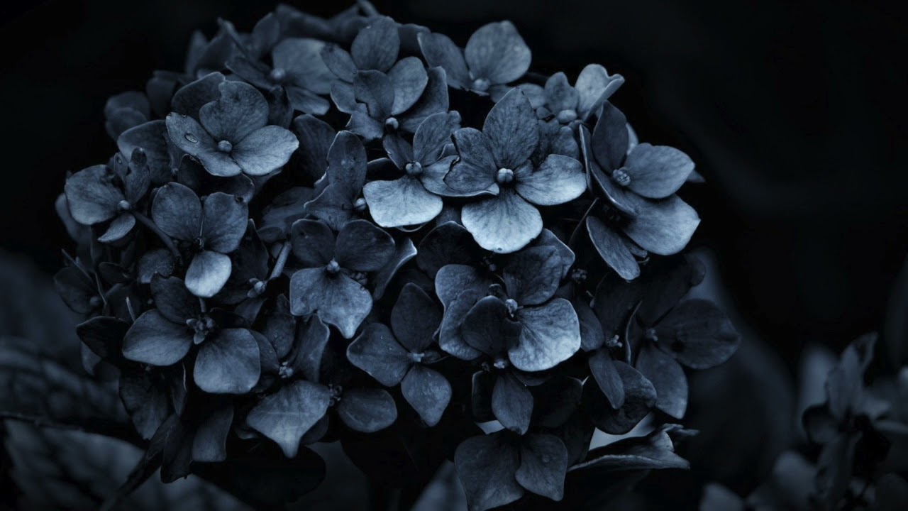 【無料BGM】暗く切なくゆったりとしたピアノ曲(トイピアノVerあり)※Webページ限定楽曲